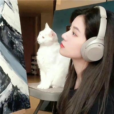 考古夺宝